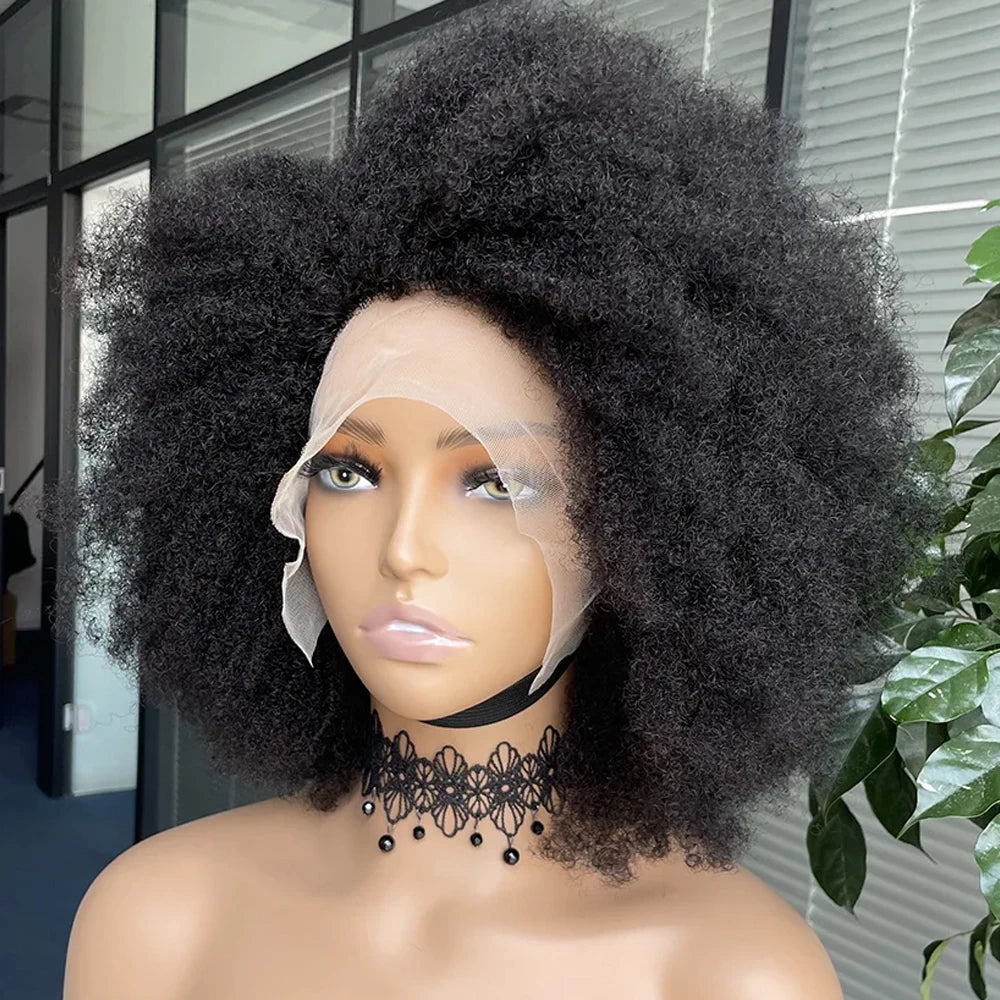 Afro Wigs for Black Women Kinky Curly Lace Front Wig 13x4x2 HD Lace Natural Hairline Glueless 250%