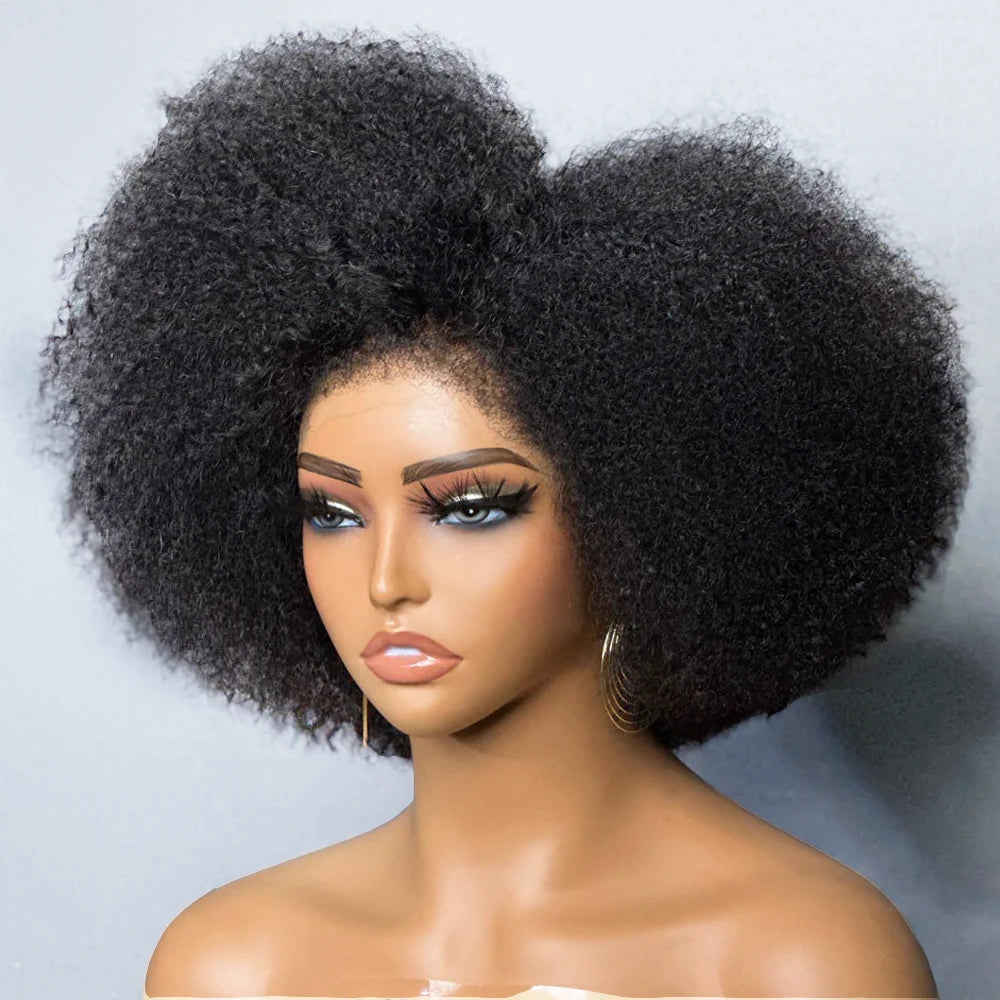 Afro Wigs for Black Women Kinky Curly Lace Front Wig 13x4x2 HD Lace Natural Hairline Glueless 250%