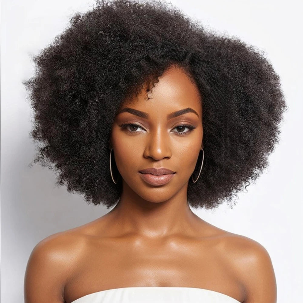 Afro Wigs for Black Women Kinky Curly Lace Front Wig 13x4x2 HD Lace Natural Hairline Glueless 250%