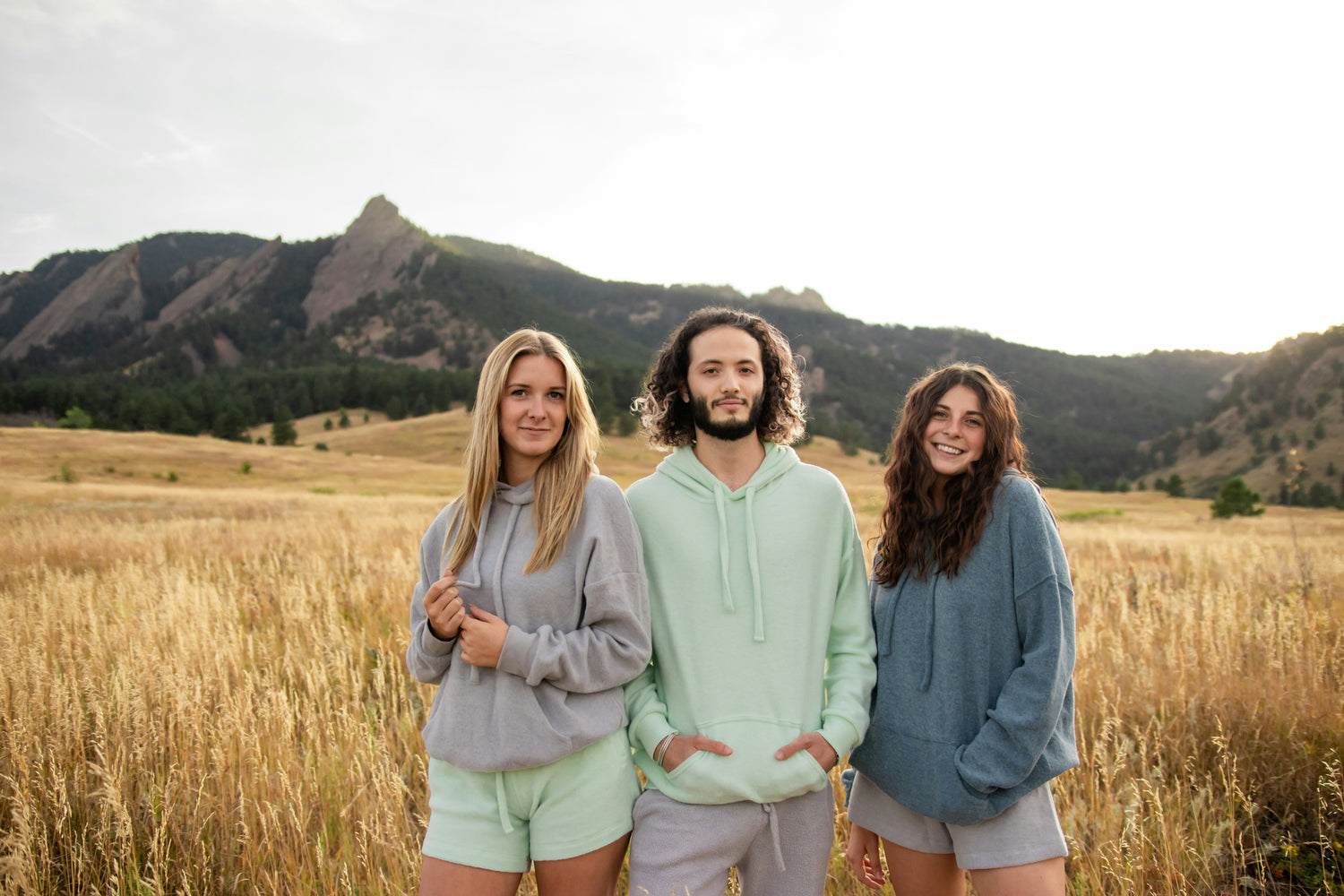 Hoodies