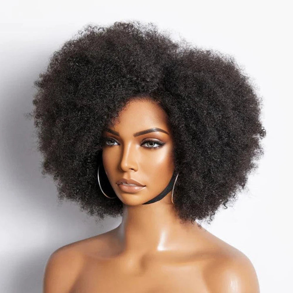 Afro Wigs for Black Women Kinky Curly Lace Front Wig  13x4x2 HD Lace Natural Hairline Glueless 250%